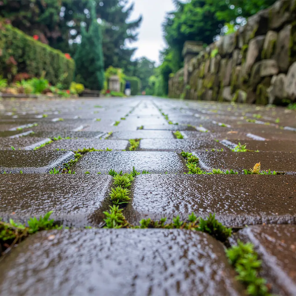 Oberflächenreinigung - Reinigung einer Terrasse Vorher - B&B Objektsanierung GmbH Rostock